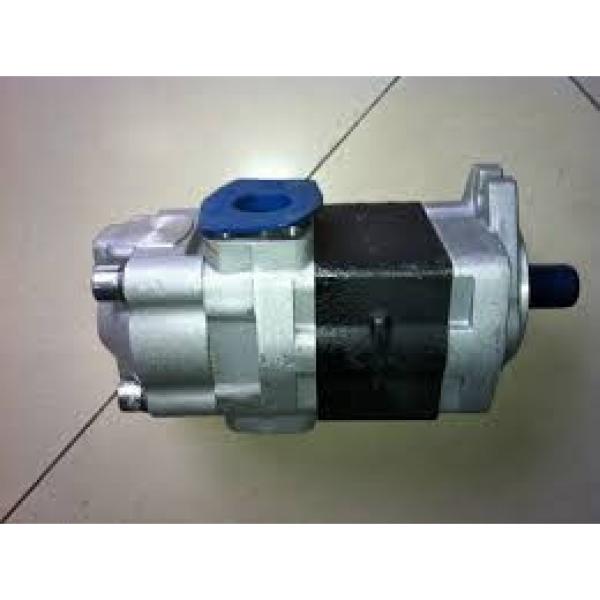 706-1A-21150 Komatsu Gear Pump Origine Japon #1 image